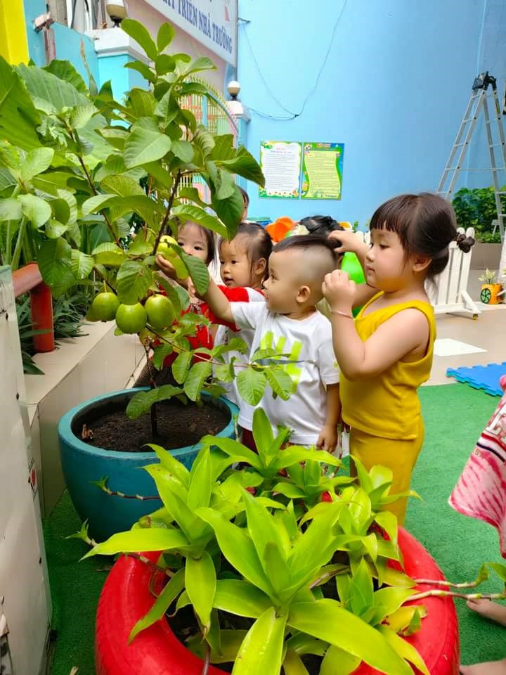 Ảnh đại diện